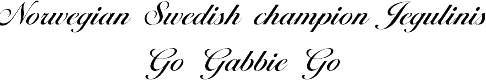 Gabbie.GIF (4552 bytes)