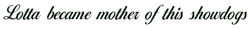 Lottamother.gif (3373 bytes)